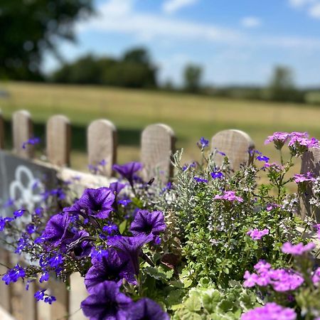 Great Sampford B&B Sorrells Farm Hempstead  Extérieur photo