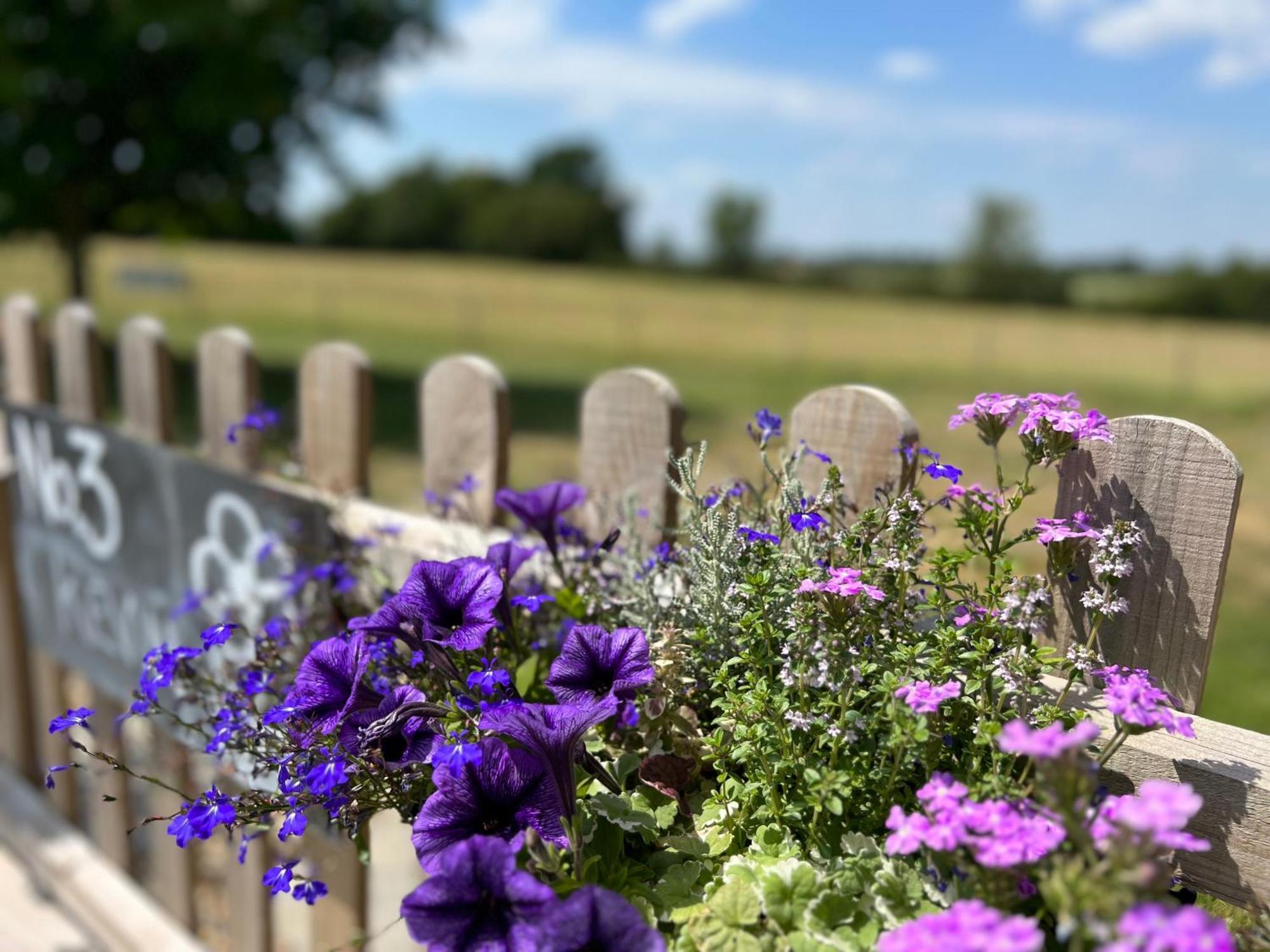 Great Sampford B&B Sorrells Farm Hempstead  Extérieur photo